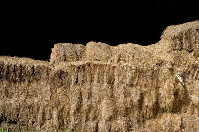Hay stack